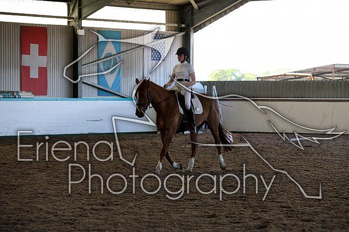 Novice5085