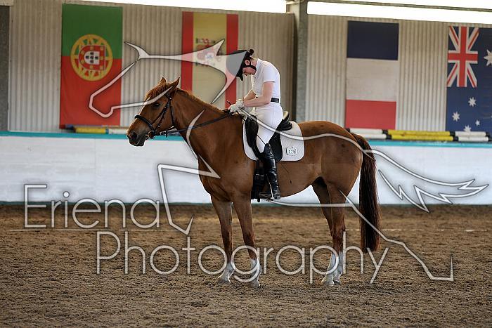Novice5089