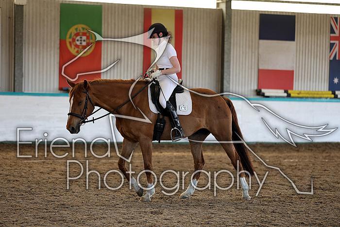 Novice5090