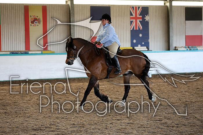 Novice5092