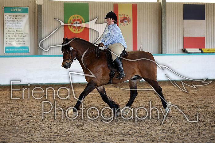 Novice5093