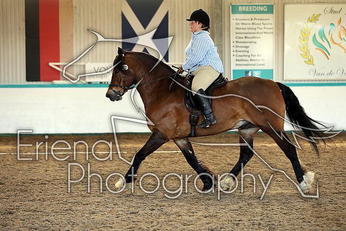 Novice5095