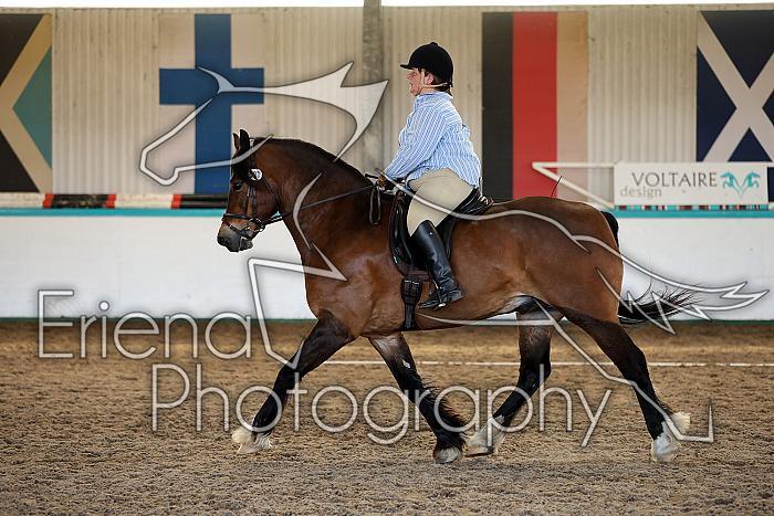 Novice5096