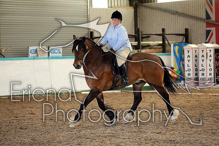 Novice5098
