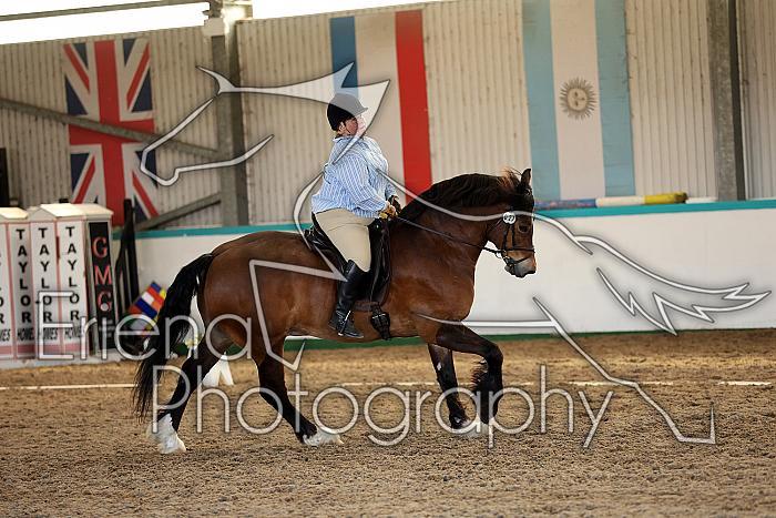 Novice5099