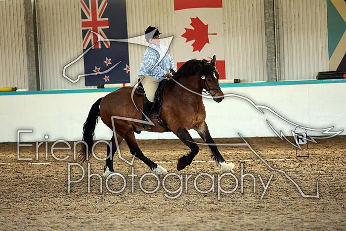 Novice5101