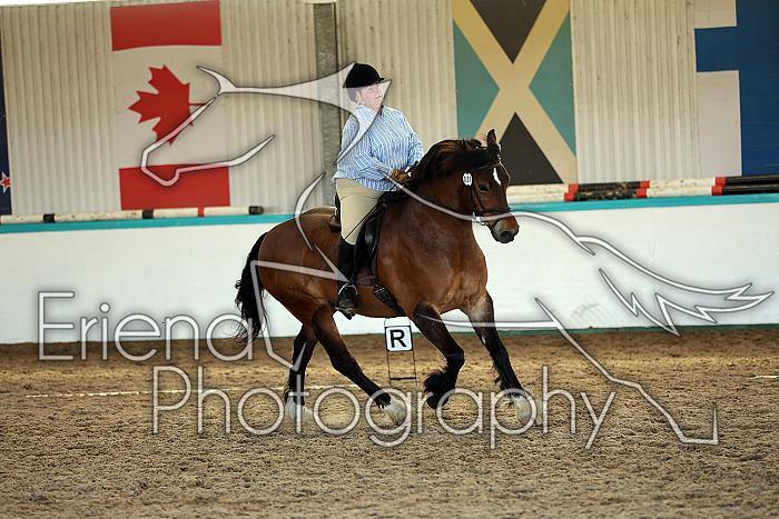 Novice5102