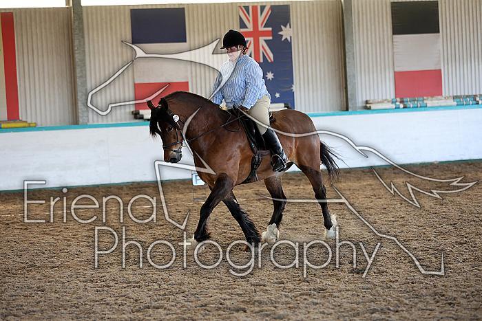 Novice5106