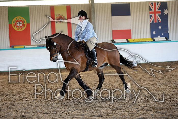 Novice5107