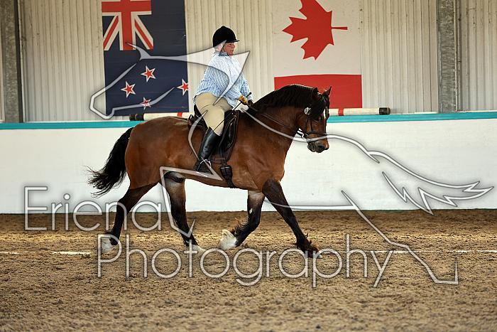 Novice5108