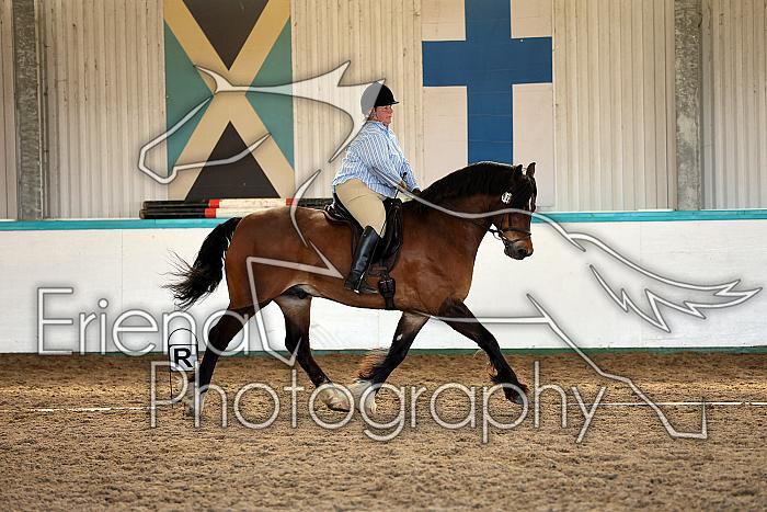 Novice5110