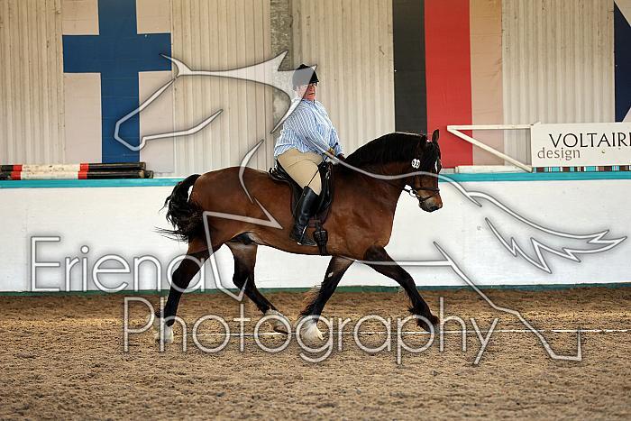 Novice5111