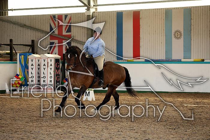 Novice5119