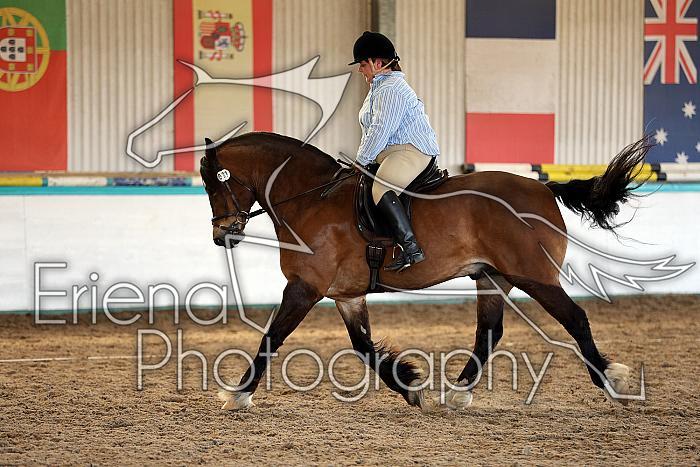 Novice5121