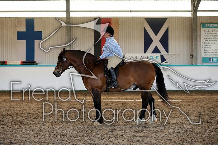 Novice5123
