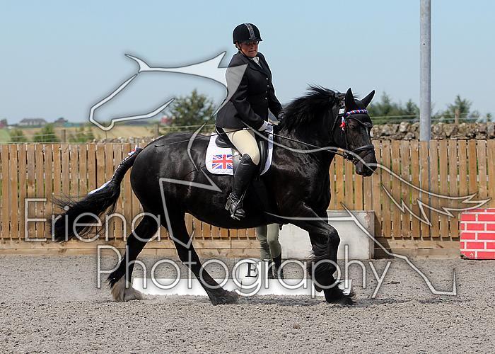 Novice008