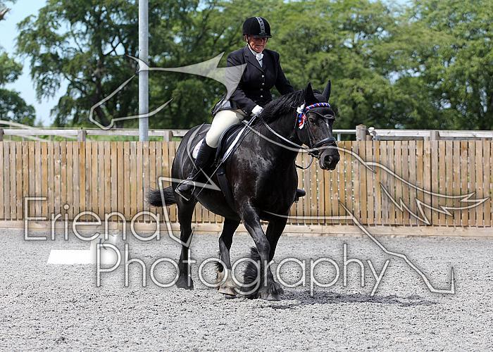 Novice029