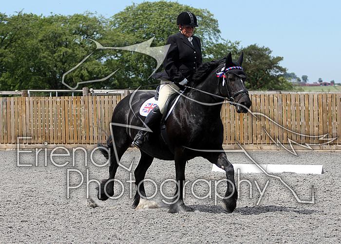 Novice031