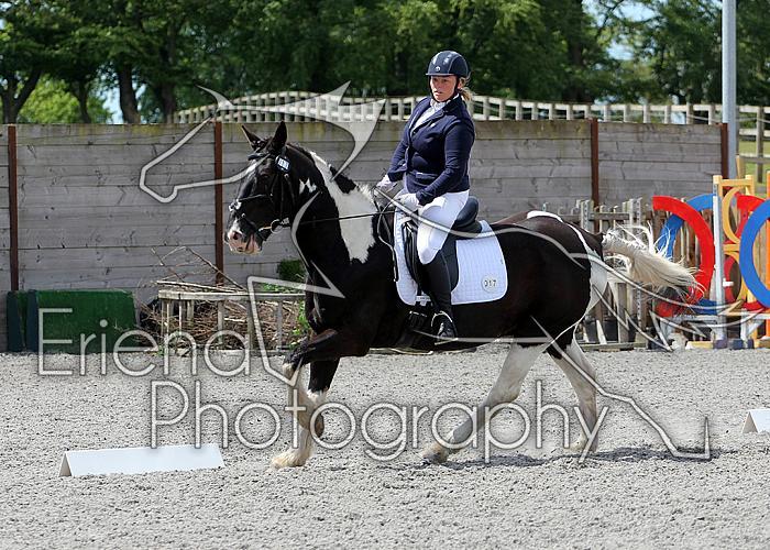 Novice077