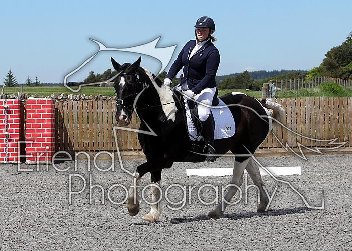 Novice081