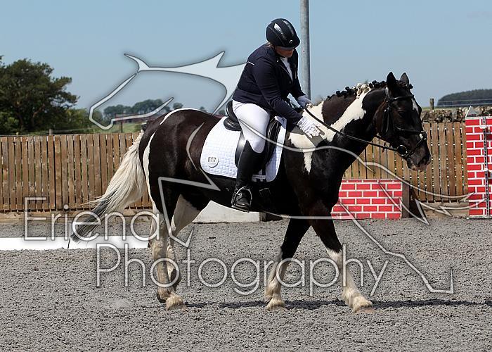 Novice088