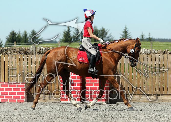 Novice089