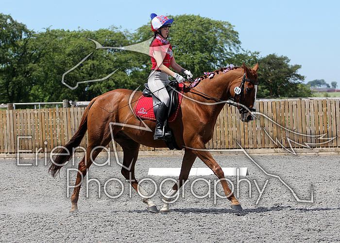 Novice096