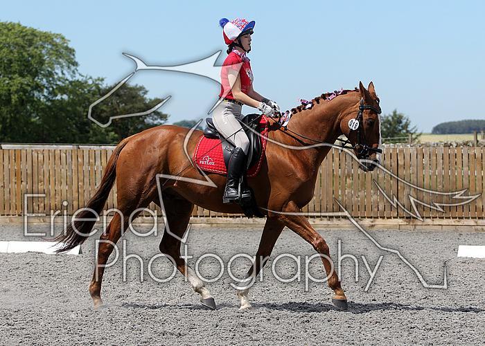 Novice097