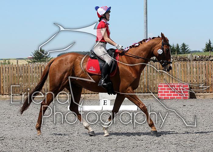 Novice098