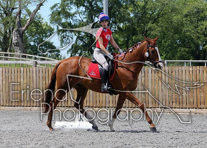 Novice102
