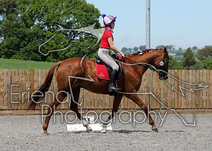 Novice103