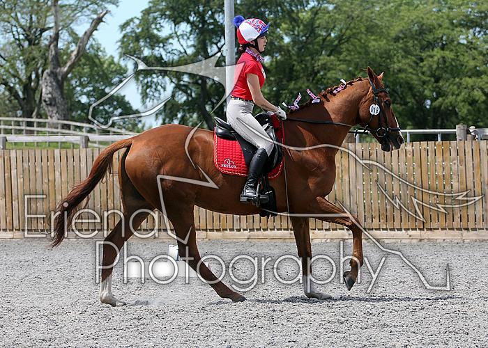 Novice108