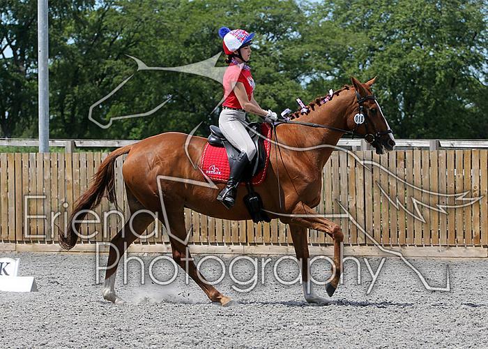 Novice115
