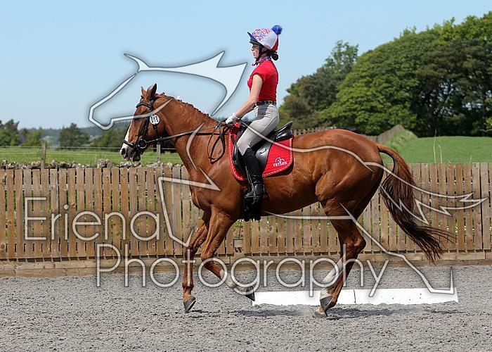 Novice123