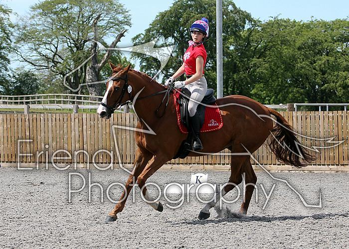 Novice126