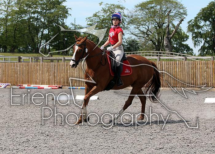 Novice127