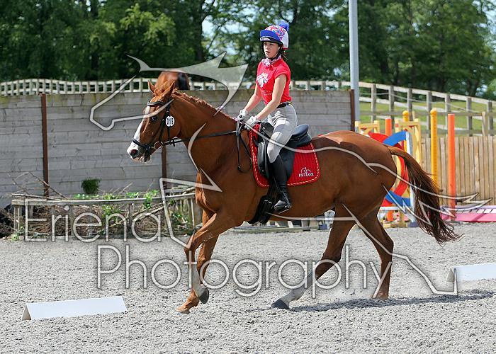 Novice129