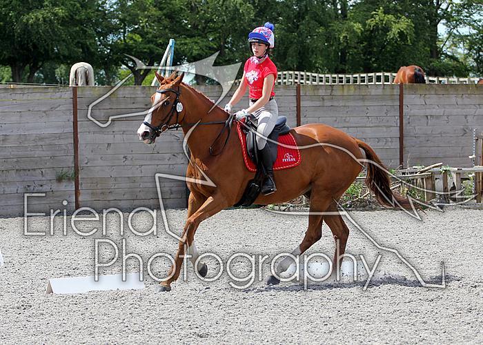 Novice130