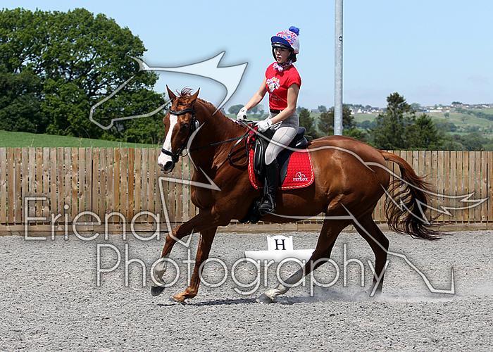 Novice133