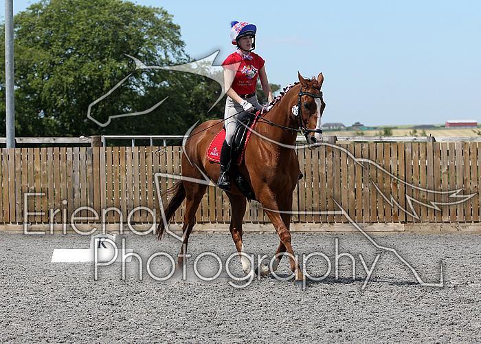 Novice134