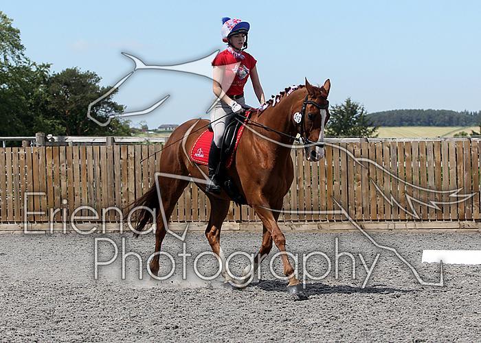Novice135