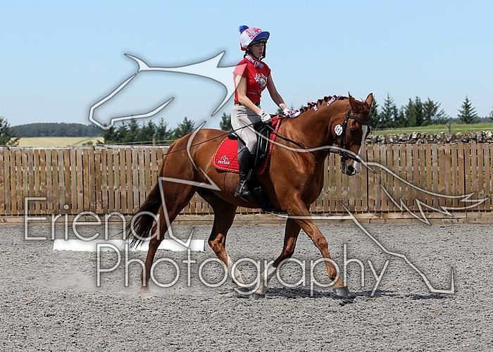 Novice136
