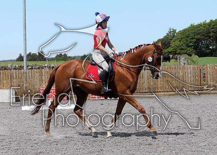 Novice138