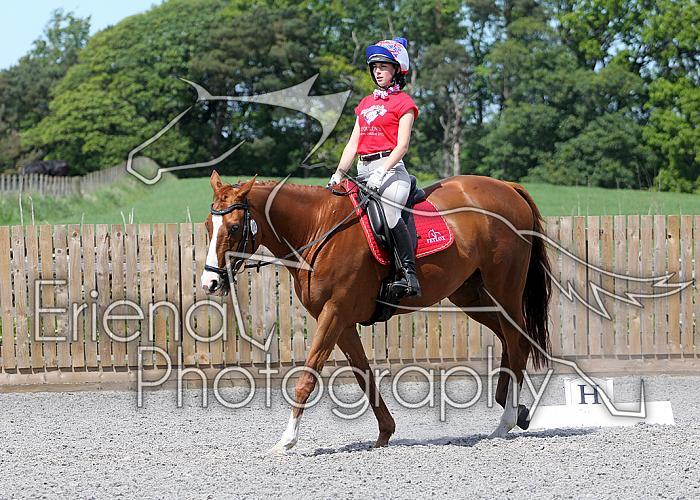 Novice139