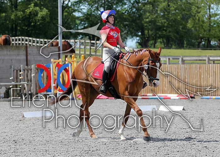 Novice140