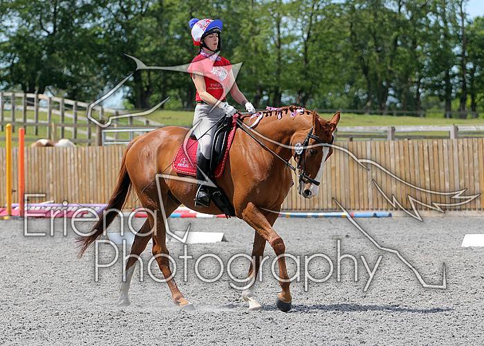 Novice141