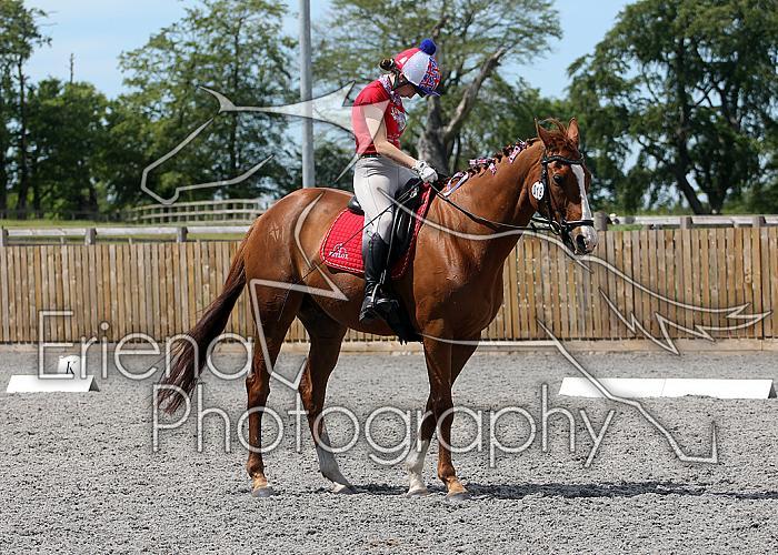 Novice142