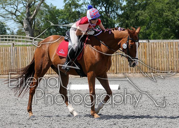 Novice146