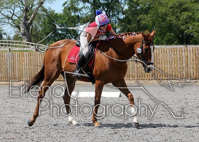Novice147