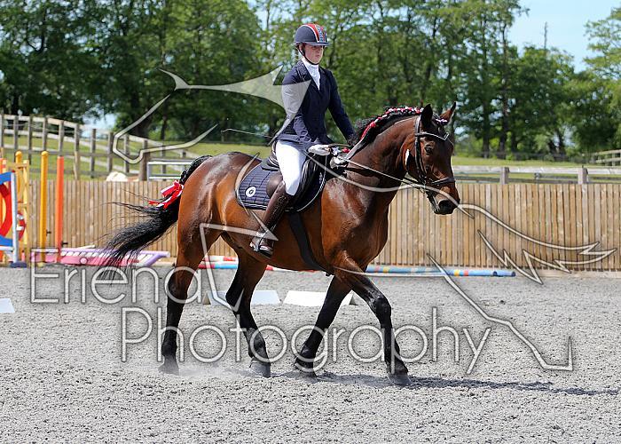 Novice154
